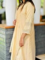 Golden Beauty Flyer Salwar - Image 3